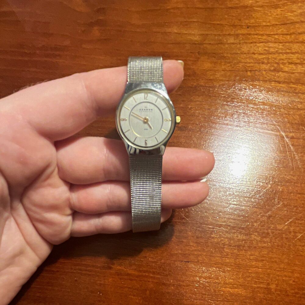 Skagen Denmark Women's Quartz Analog Mesh Band Watch 233xSGSC